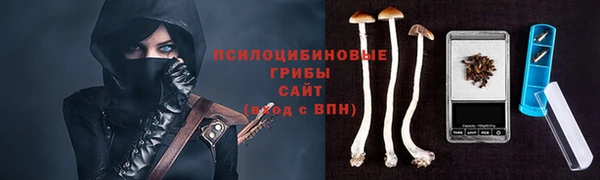 мдма Каменногорск